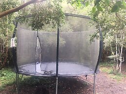 Cabañas Ensenada Bosque Nativo