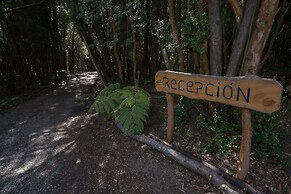 Cabañas Ensenada Bosque Nativo