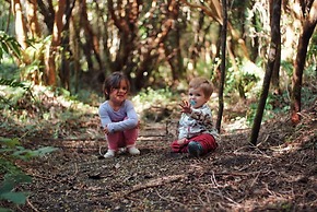 Cabañas Ensenada Bosque Nativo