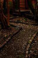 Cabañas Ensenada Bosque Nativo