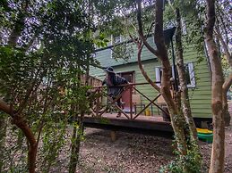 Cabañas Ensenada Bosque Nativo