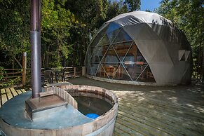 Cabañas Ensenada Bosque Nativo