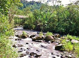 Mindo Garden Lodge