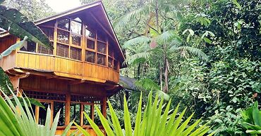 Mindo Garden Lodge
