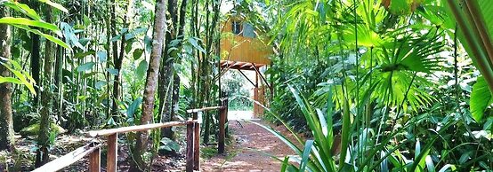 Mindo Garden Lodge