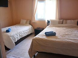 Wild & Wandering Backpacker & Bar