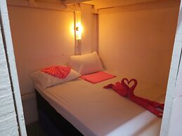 Wild & Wandering Backpacker & Bar