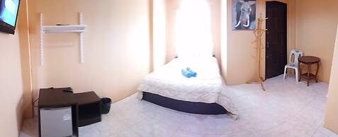 Wild & Wandering Backpacker & Bar