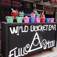 Wild & Wandering Backpacker & Bar