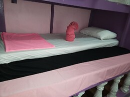 Wild & Wandering Backpacker & Bar