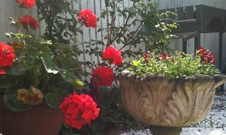 Diana's Bed and Breakfast