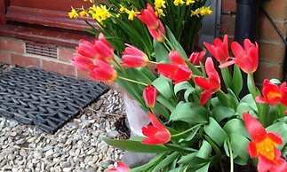 Diana's Bed and Breakfast