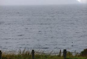 Auberge Internationale La Vieille École