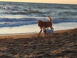 Residence Ghiacci Vecchi