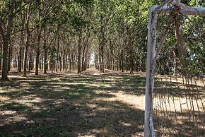 Residence Ghiacci Vecchi