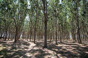 Residence Ghiacci Vecchi