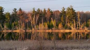 Bee 'n Bee Bed n' Breakfast