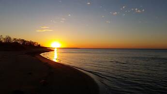 Bee 'n Bee Bed n' Breakfast