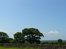 Breaday Gill and Folly Gill Cottages