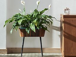 Breaday Gill and Folly Gill Cottages