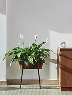 Breaday Gill and Folly Gill Cottages