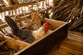 Fusion Resort Cam Ranh