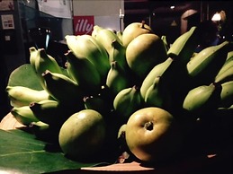 Pied Dans L’eau Holiday Apartments