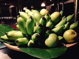 Pied Dans L’eau Holiday Apartments