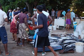 Pied Dans L’eau Holiday Apartments