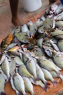 Pied Dans L’eau Holiday Apartments