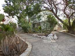 Happy Turtle Apartments