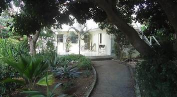 Happy Turtle Apartments