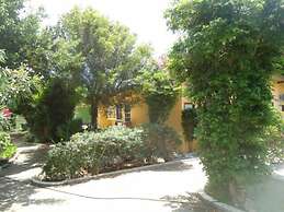 Happy Turtle Apartments