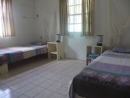 Happy Turtle Apartments