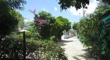 Happy Turtle Apartments