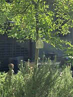 Salt Spring Carriage House B&B