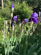 Salt Spring Carriage House B&B