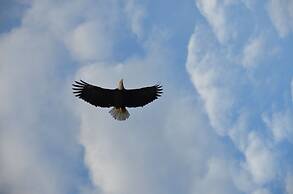 Where Eagles Fly Bed & Breakfast