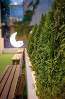 Hi There design guesthouse