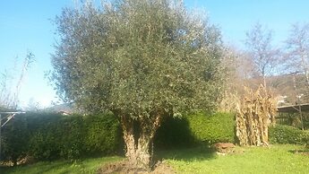 Agroturismo Ibarrondo Etxea