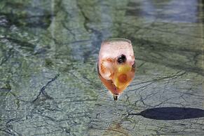 Senses Hotel - Adults Only