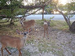 Ed & Ellen's Lodging Big Pine Key