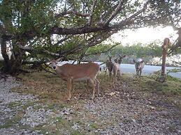 Ed & Ellen's Lodging Big Pine Key