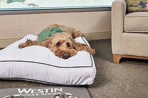 The Westin Denver International Airport