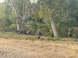 Days End Campground & RV Park