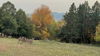 Days End Campground & RV Park