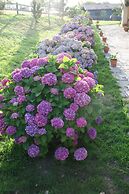 Paraje del Asturcón Adults Only