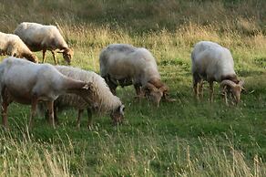 Paraje del Asturcón Adults Only