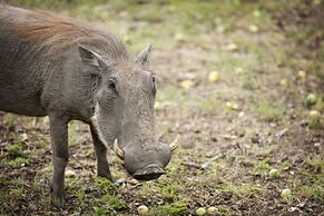Lukimbi Safari Lodge