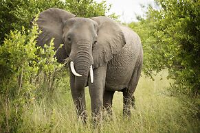 Lukimbi Safari Lodge